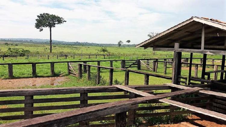 Fazenda/Sítio à Venda, 28820000 m² por R$ 23.300.000 COD.