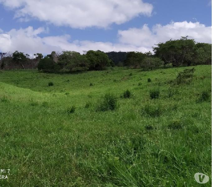 Fazendinha 50 tarefas casa curral cacau e banana