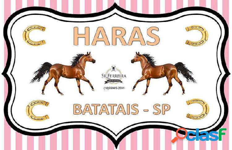 HARAS BATATAIS - Sítio a Venda no bairro Centro - Batatais,