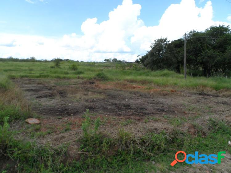 TERRENO BAIRRO UNIVERSO - TERRA - Terreno a Venda no bairro