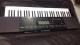 Teclado Casio
