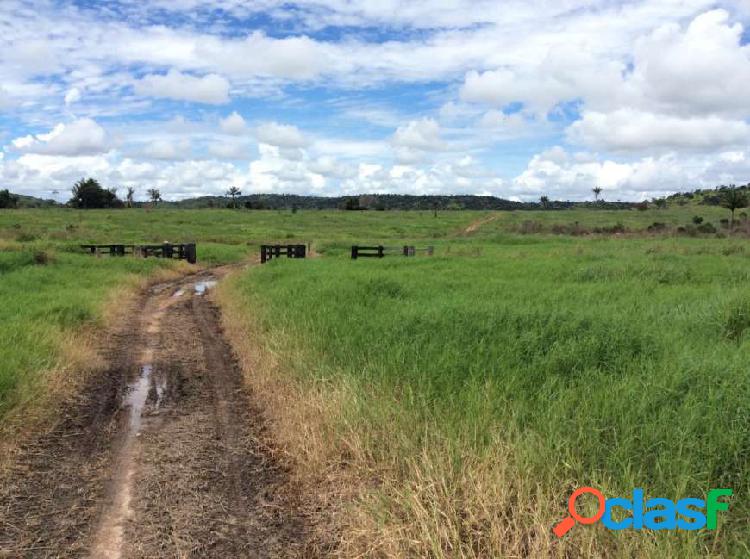 Vende-se fazenda de 543 alqueires em Nova Monte Verde-MT -