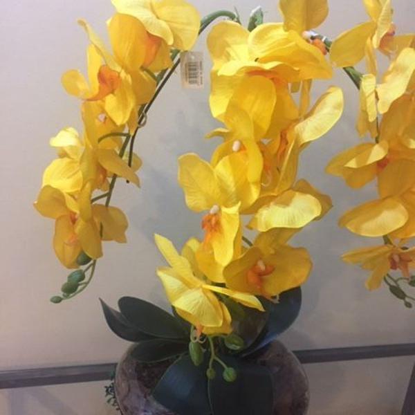 orquídeas decor luxo