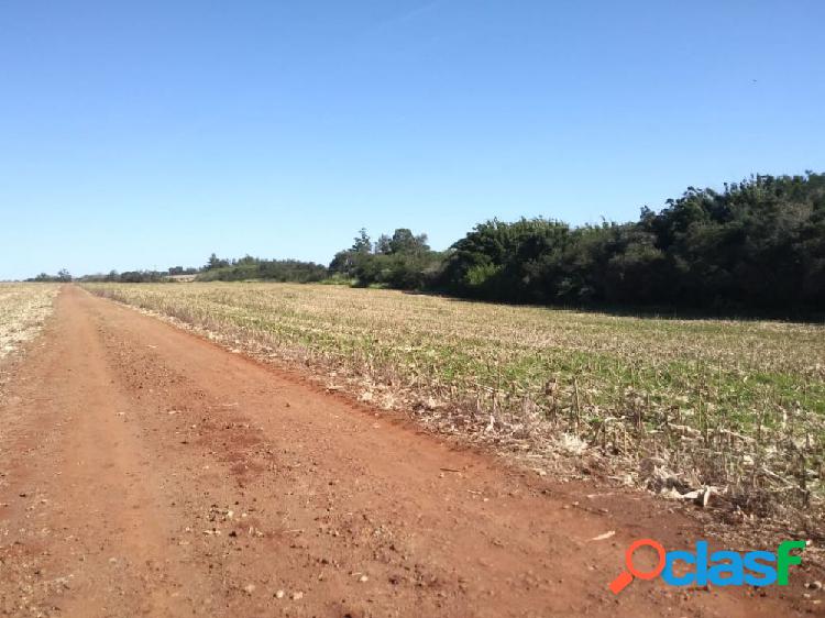 Área de terra ótima para Aviário na Linha Sta. Cruz -