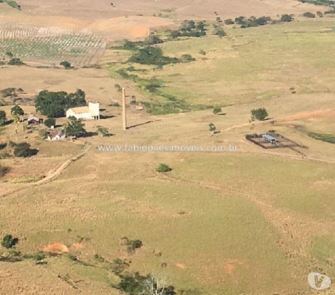 Fabio Paes Imóveis - Fazenda de 180 alq toda em pasto.