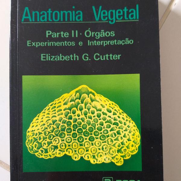 Anatomia Vegetal, parte II