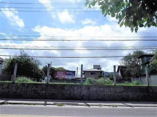 Av Campeche, Campeche, Florianópolis