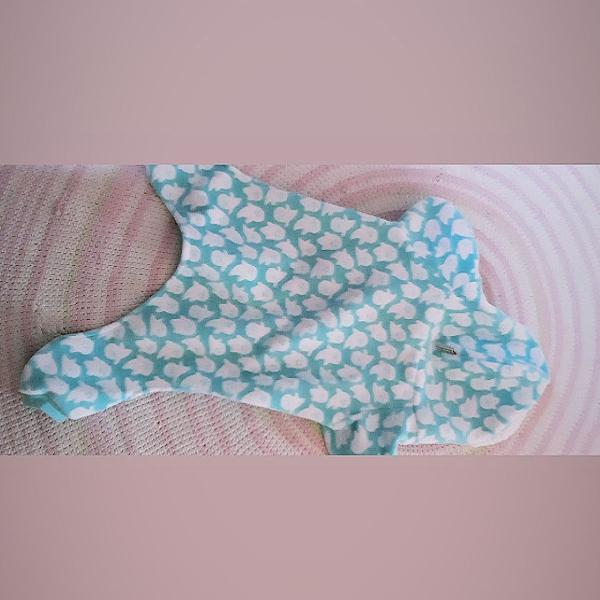 Roupinha para pet