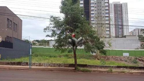 Rua Paschoal Bardaro, Jardim Irajá, Ribeirão Preto