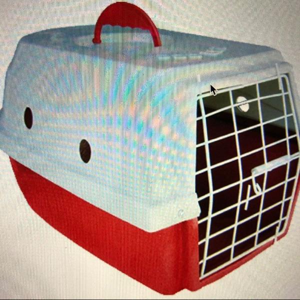 caixa para transporte de cães dog lar