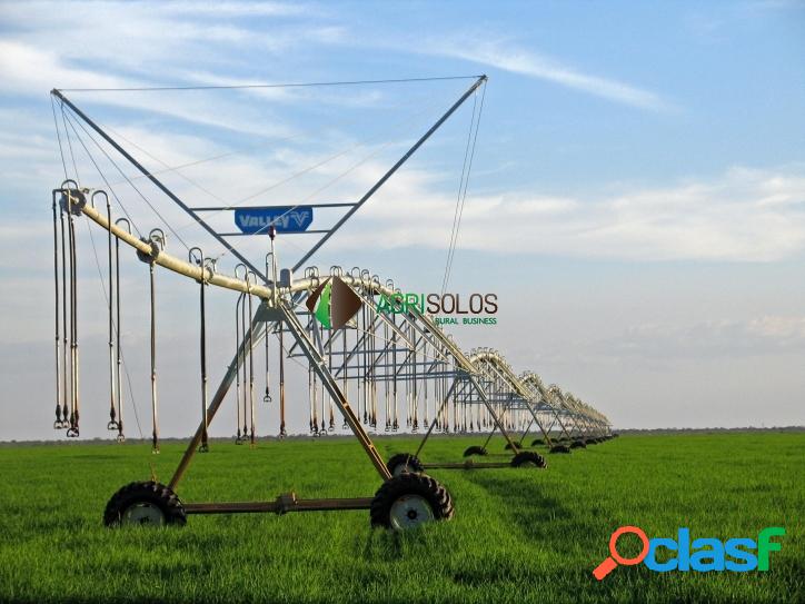 FAZENDA 1.600 HA P/ IRRIGAÇÃO