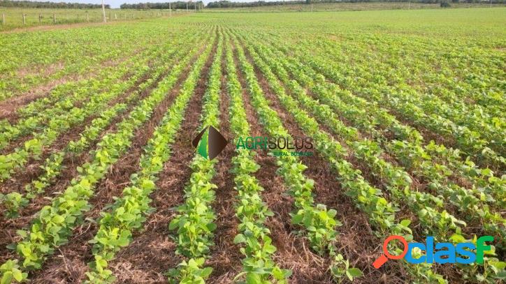 FAZENDA 2.000 HÁ EM CANARANA-MT. MARGEM DA BR-158