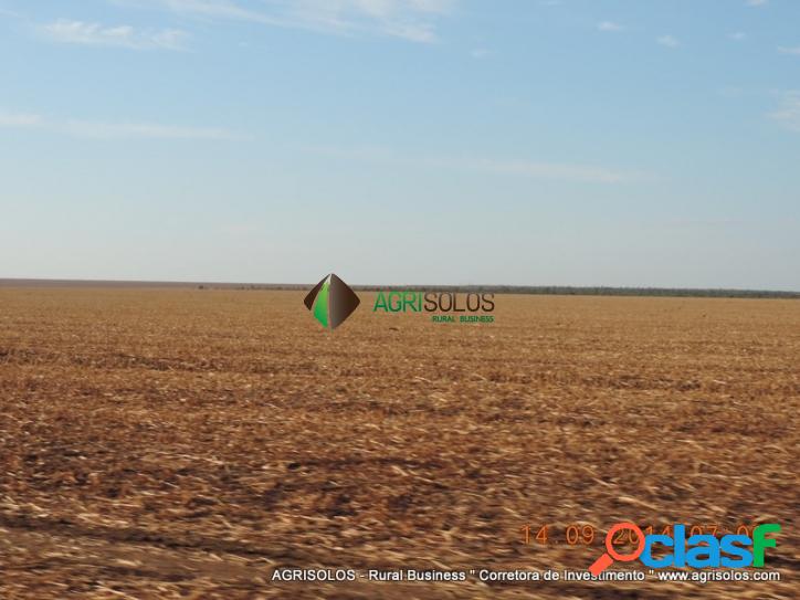 FAZENDA 30.000 HÁ C/ SOJA E ALGODAO
