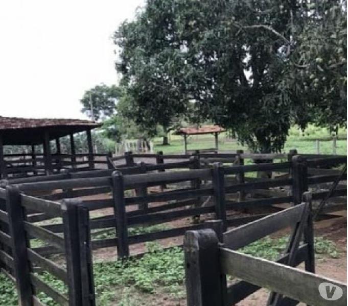 Fazenda 170 hectares - formada e cercada por água