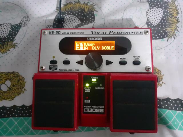 Pedal vocal