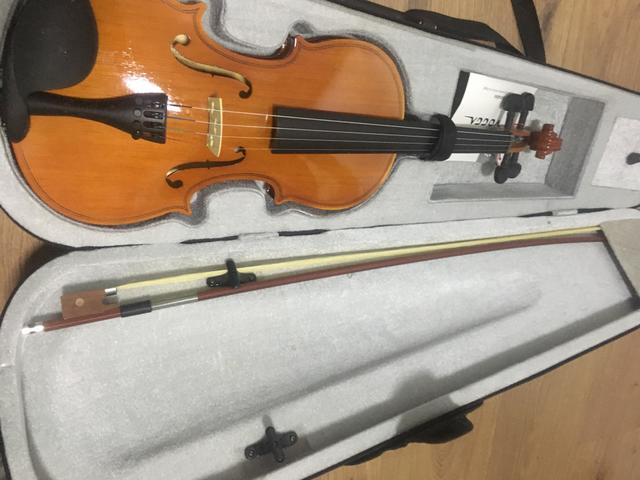 Violino 4/4 vogga