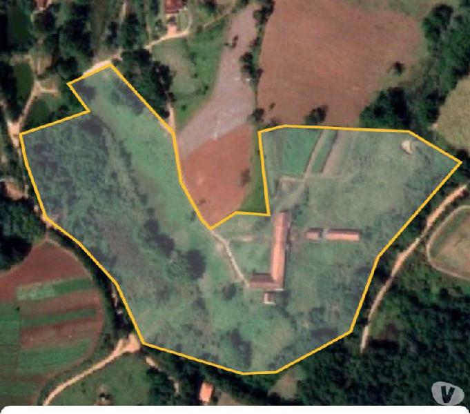 Haras completo com 54 baias para alugar