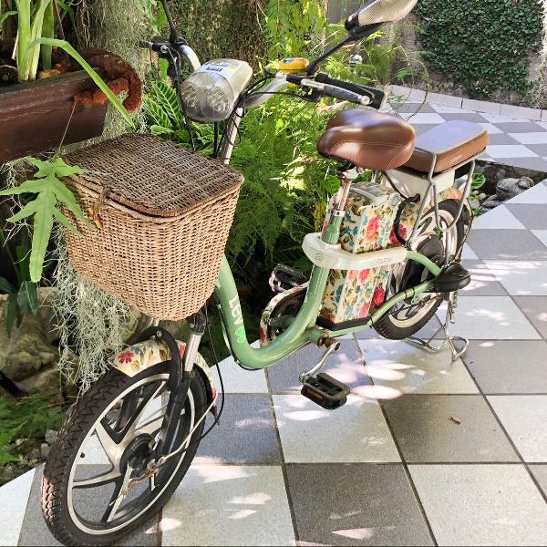 bicicleta elétrica retrô farm bouquet - e-bike lev