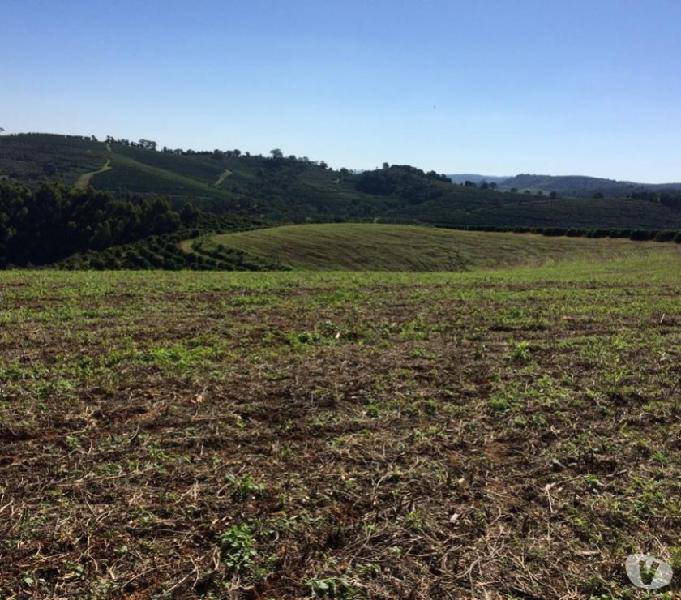 Fazenda de Café em Guaxupé - Jacuba