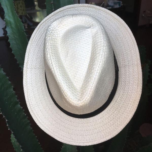 chapeu tipo panamá