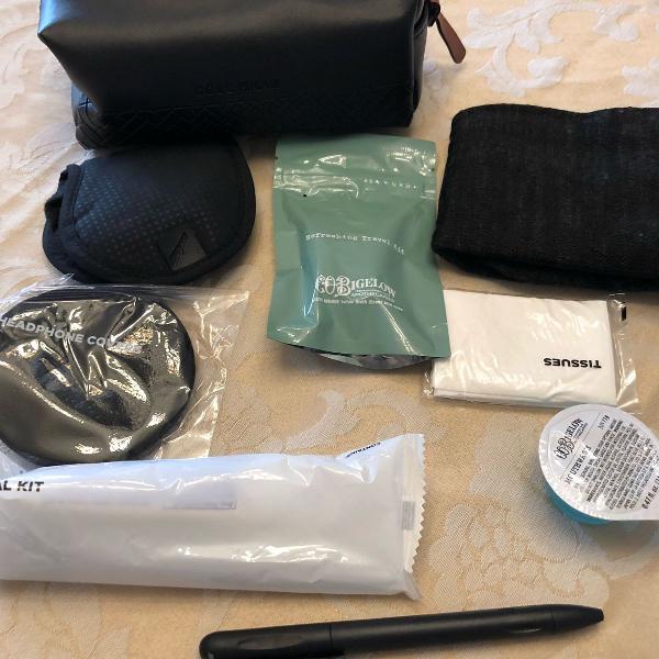 kit cole han executiva american airlines