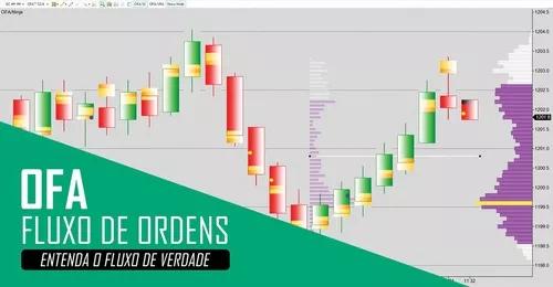 Treinamento De Estrategias Forex Usando Ofa