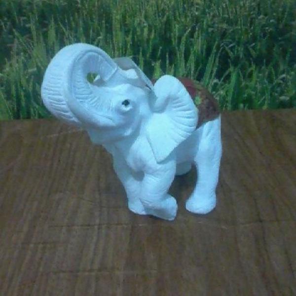 elefante branco