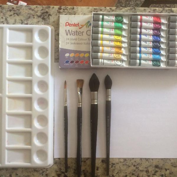 kit aquarela profissional*