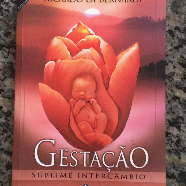 livro gestação - sublime intercâmbio