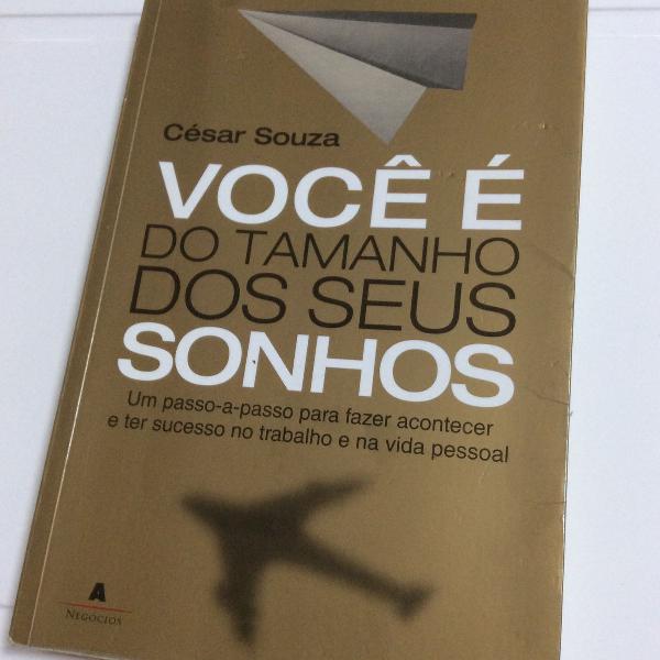 livro você é do tamanho dos seus sonhos