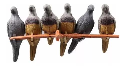 Chamariz Para Caçar Pássaros Com Arco 3d Prática Modelo