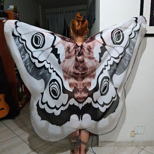 asas de borboleta