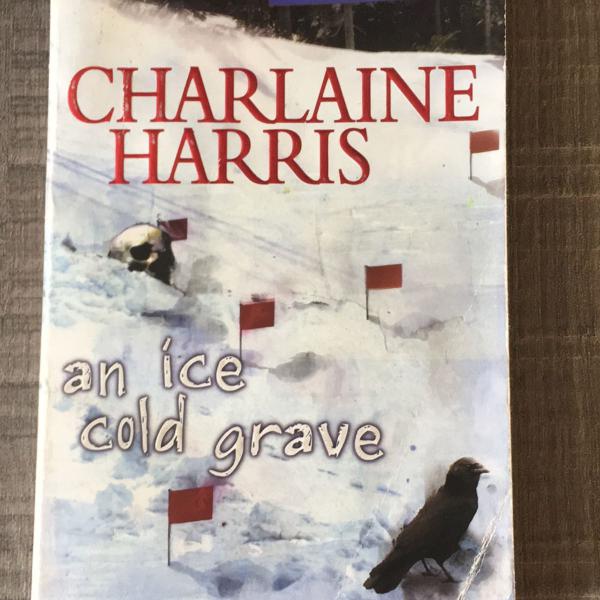 livro em inglês - an ice cold grave