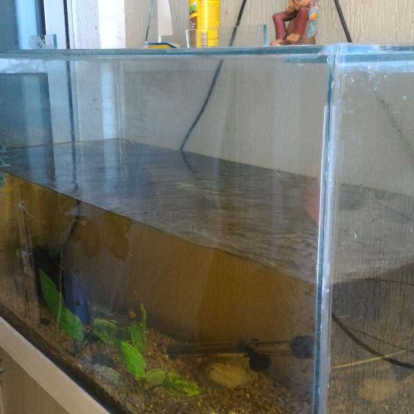Aquário c ou sem armário para o seu pet 200 litros