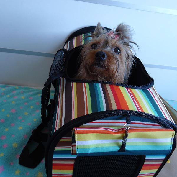 Bolsa De Transporte Desmontável colorida Para Pets