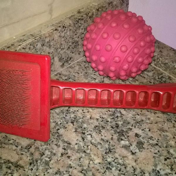Escovinha e bola para pets