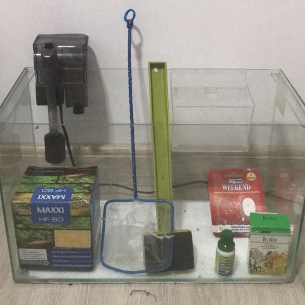 aquário completo