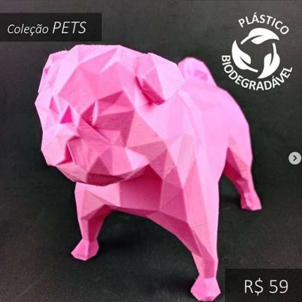 cachorro pug