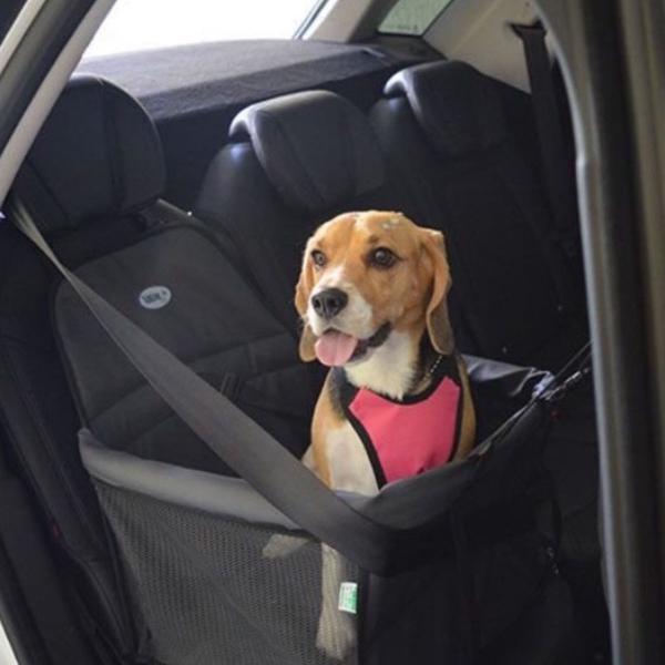 cadeira de carro para transporte de cachorro