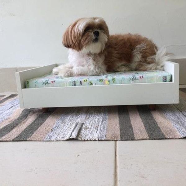 cama pet mdf