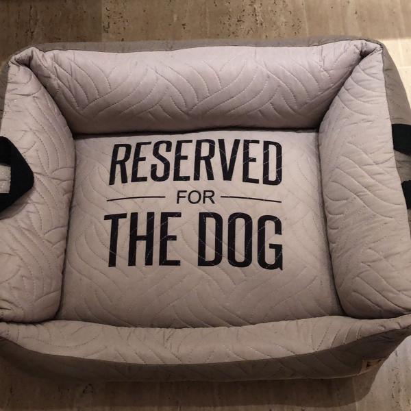 caminha média para cachorro