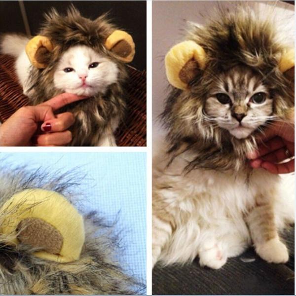 chapéu para gatos juba leãozinho filhote - a pronta