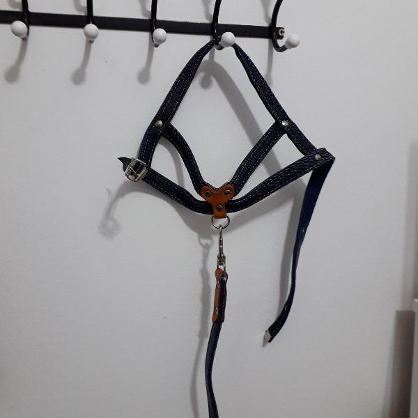 coleira jeans para seu cão