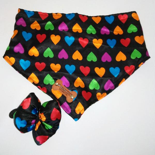 conjunto colorido pet