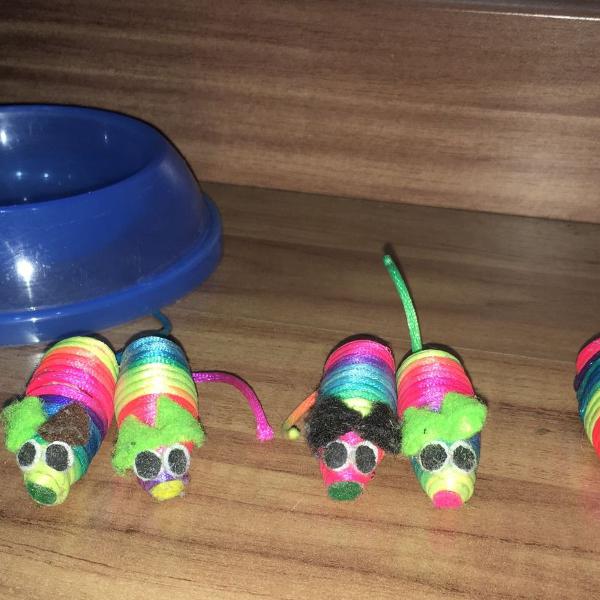 conjunto pote de comida + brinquedos para gatos
