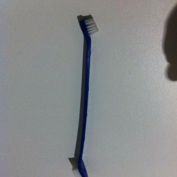 escova de dente para pet