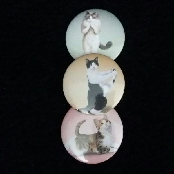 kit (3) buttons: gatos