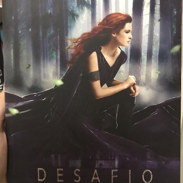 livro desafio c.j. redwine