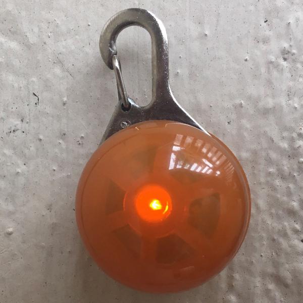 luzinha de segurança pra pets