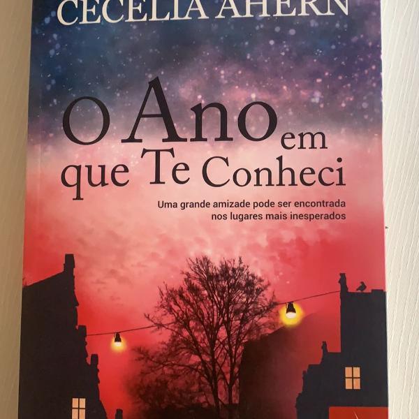 o ano em que te conheci - cecelia ahern